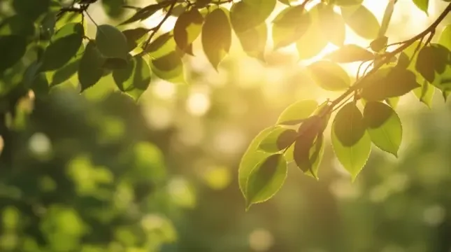 一分钟的温柔 - 成人性爱网站 一分钟的温柔 - 封面